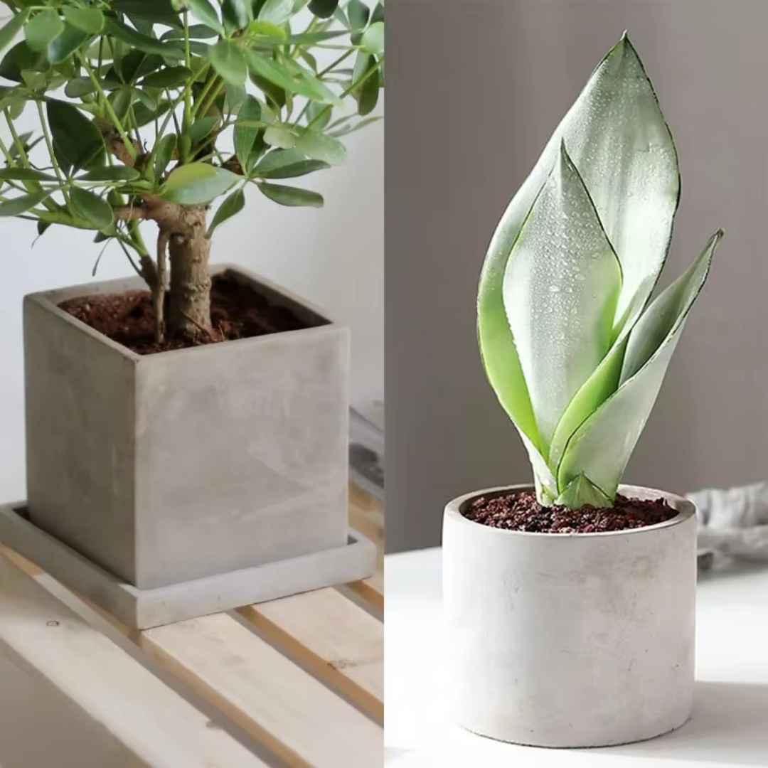 Echeveria Succulent - 15cm大型丸型コンクリート植木鉢シリコンモールド、正方形セメント粘土多肉植物鉢、石膏収納ボックス型