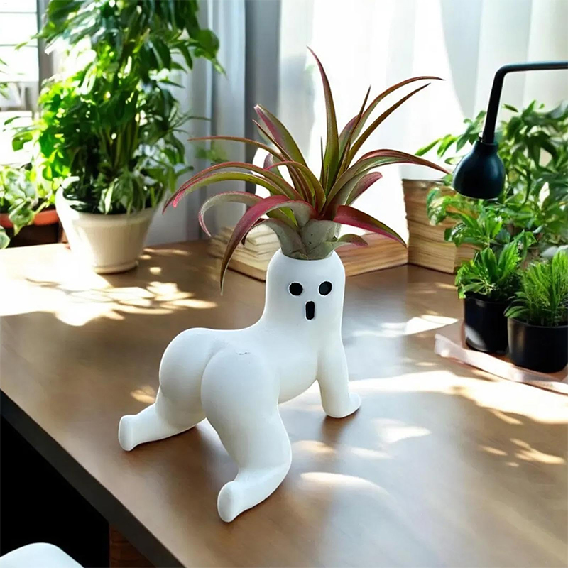 面白い大きな戦利品ゴーストプランター大きな戦利品エアプラント - Echeveria Succulent のレビューと価格