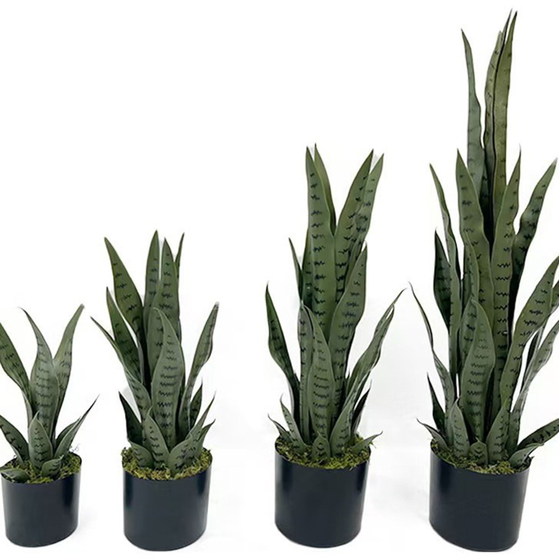 40-100cmの人工サンセヴィエリア（スネークプラント）黒 - Ficus Lyrata Tree のレビューと価格