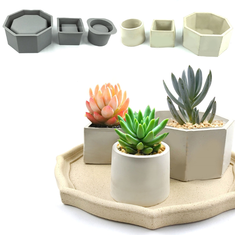 手作りの多肉植物プランター,シリコンモールド,コンクリート植 - Echeveria Succulent のレビューと価格